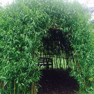 Meet your Posher, Claudia